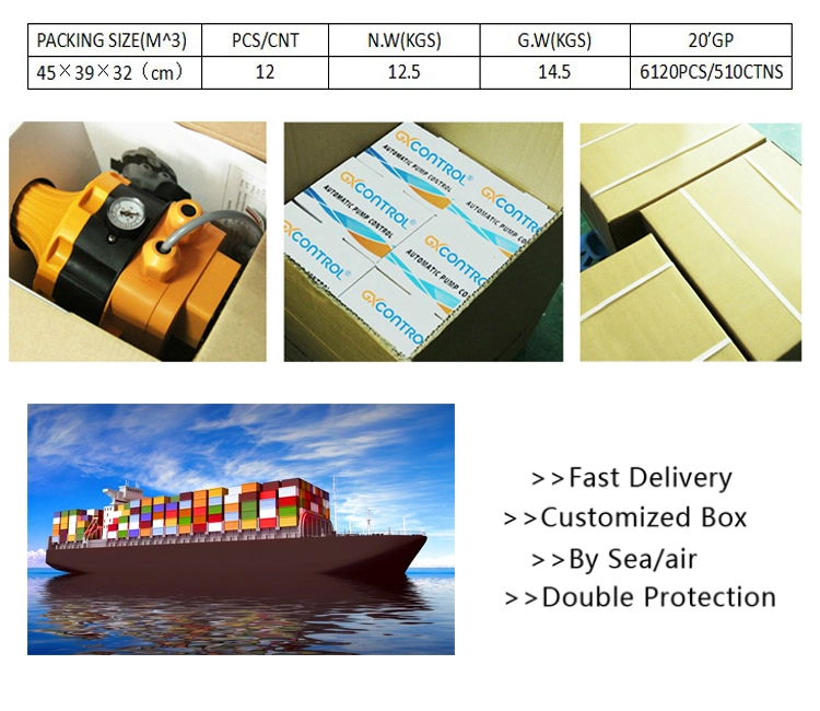 Pressure Control Autoamtic Pump Control for Water Pump Dps-9